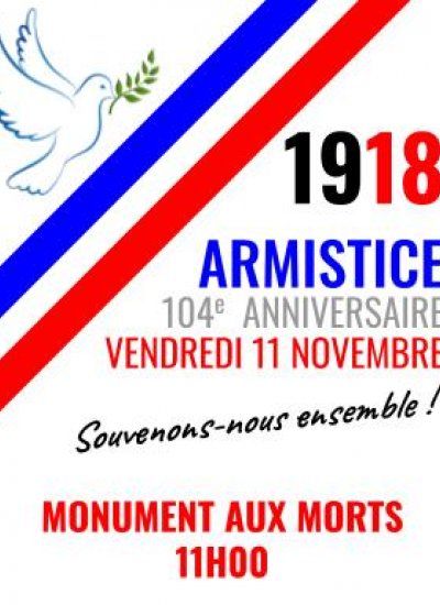 Cérémonie de commémoration de l'armistice du 11 novembre