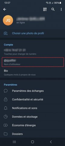 Application Telegram - Renseigner un nom d'utilisateur